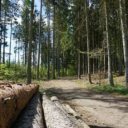 Seepark Kirchheim Ferienhaus Bei Anne Mit Sauna 外观 照片